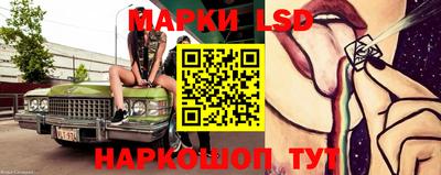 гидропоника Тула