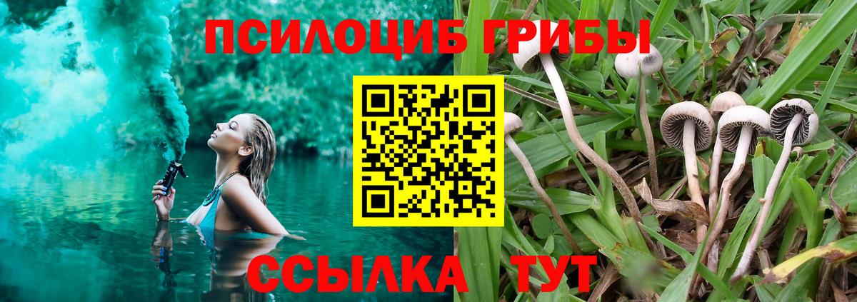 Галлюциногенные грибы GOLDEN TEACHER  Псилоцибиновые грибы Psilocybine cubensis  Вход с VPN  Арзамас 